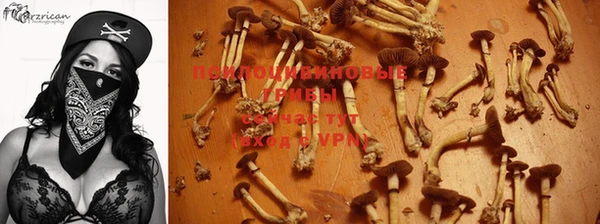героин Нягань