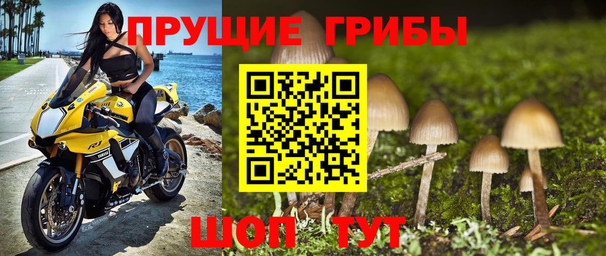 Псилоцибиновые грибы мухоморы  Галлюциногенные грибы прущие грибы  Белогорск  Вход с VPN 