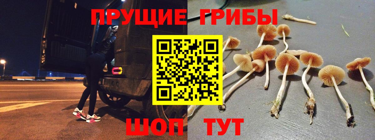 Псилоцибиновые грибы GOLDEN TEACHER  Белогорск 