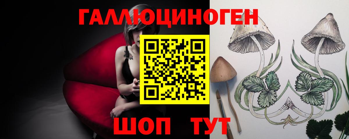 Галлюциногенные грибы Psilocybe Белогорск